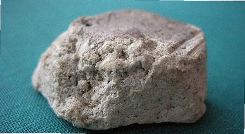 Atlantic Ocean/White 100% Organic, Ambergris, Ambre Gris 2 g- Rare Oceanic Find